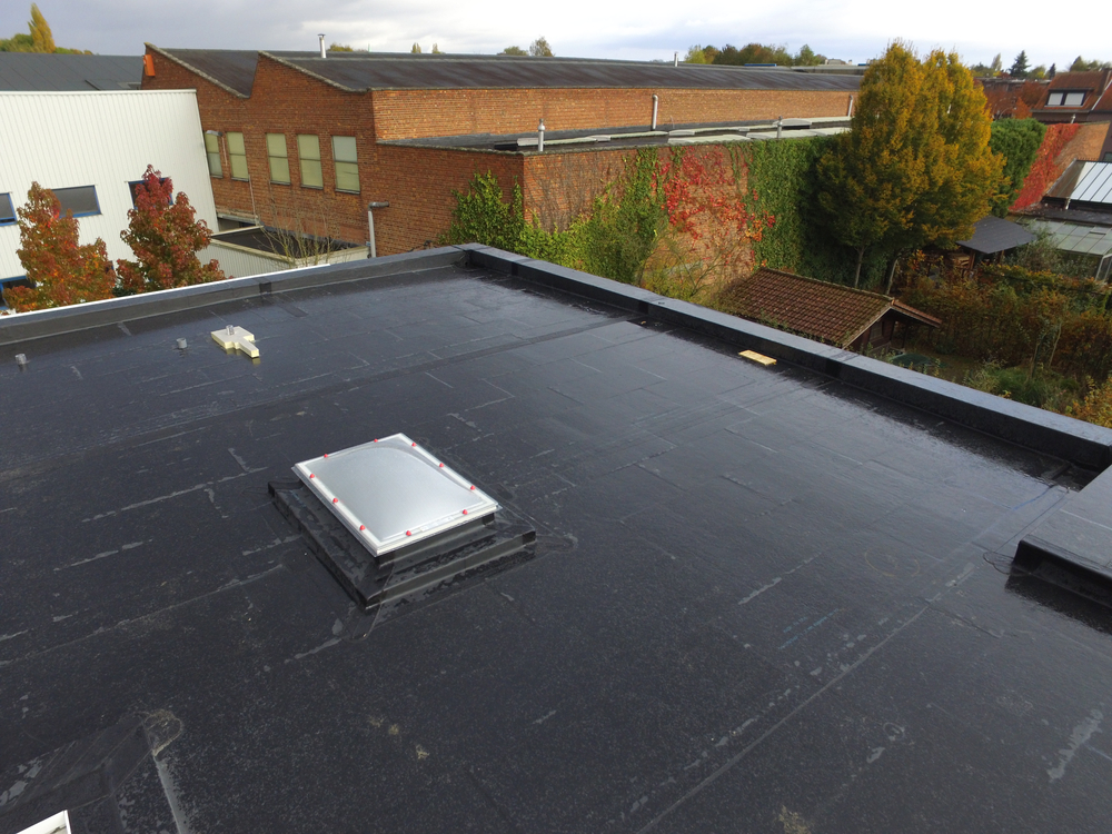 EPDM Roof