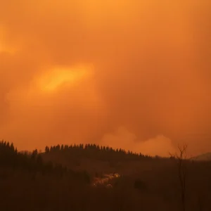 Asheville Faces High Wildfire Danger Amid Extended Dry Spell