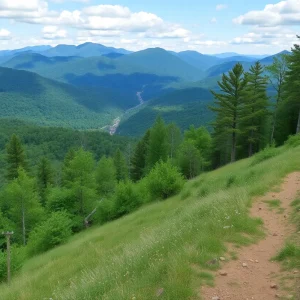 Asheville wilderness with hiking trails and mountains